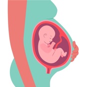 OB Pregnancy Calculator
