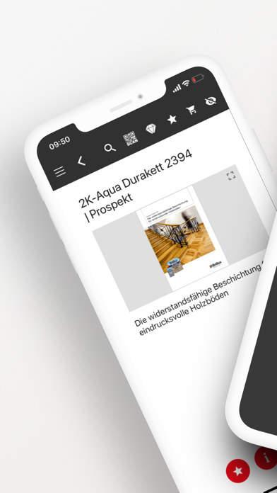 Brillux Screenshot