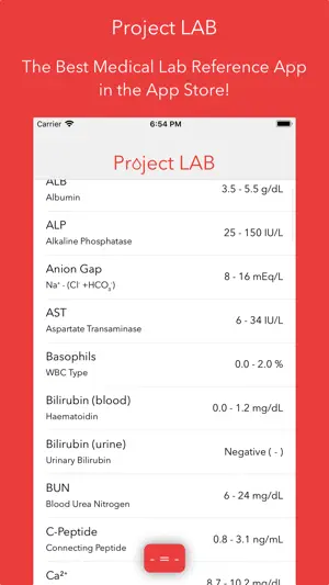 Project LAB screenshot 1