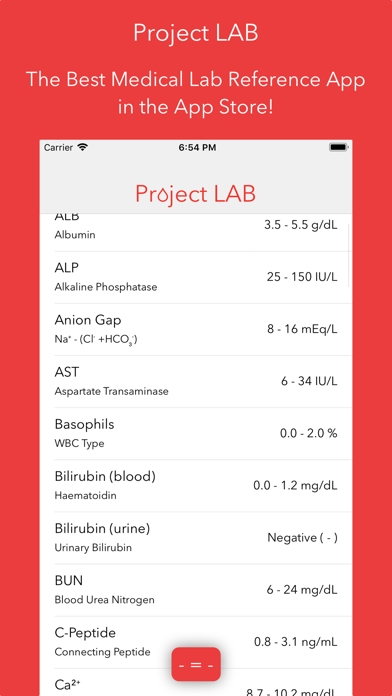 Project LAB screenshot