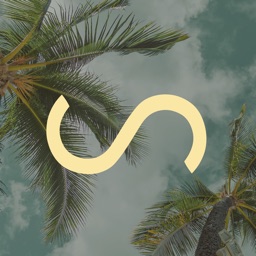 Beachwaver Co.
