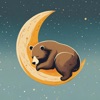 Combien de dodos ? icon