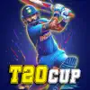Indian T20 Cup : Cricket Game problems & troubleshooting and solutions