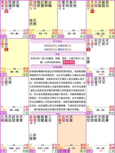 紫微斗數排盤