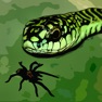 Get Tarantula vs Snake for iOS, iPhone, iPad Aso Report
