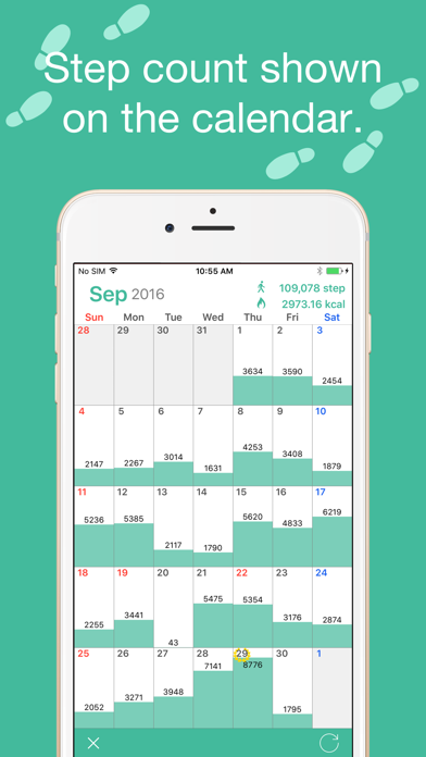 Step Counter Maipo - Pedometer Screenshot