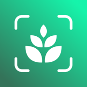 Plant identifier: A Care Guide