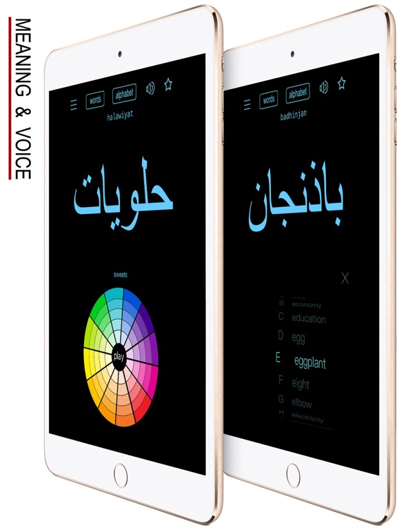 Screenshot #6 pour Langue Arabe