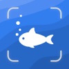 Fish Identifier by Picture° icon