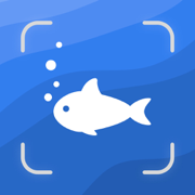 Fish Identifier By Picture °