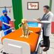 Pet Dog Simulator - Pet Vet