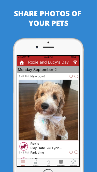 DogLog - Track your dog’s life Screenshot