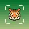 Animal Identifier - iSpecies anmeldelser