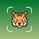 Animal Identifier - iSpecies app icon - Education app for iPhone