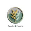 Barvin icon