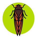 Download Cicada Safari app