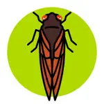 Cicada Safari App Alternatives