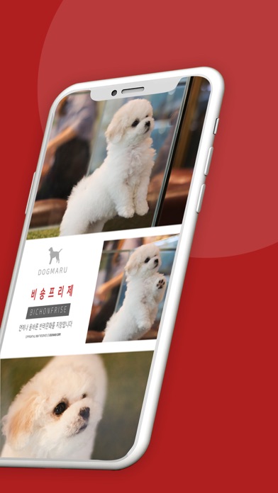 도그마루 - 강아지분양 고양이분양 반려동물앱 Screenshot