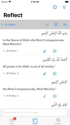 QuranReflect iPhone image 1