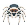 The Spinners Keep