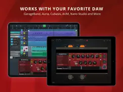 MicroPitch iPad image 3
