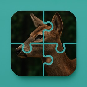 Swap Puzzle:Jigsaw Puzzle Game