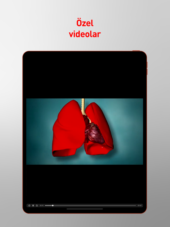 Screenshot #5 pour pratiKOAH