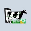 Gestor RP Financeiro icon
