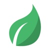 Leafi icon