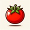 PomoFocus is based off of the pomodoro technique developed by Francesco Cirillo in the 1980s