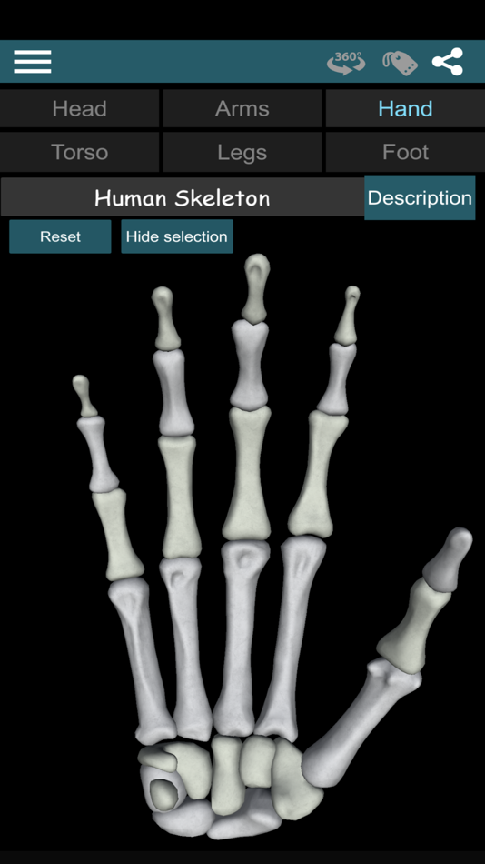 #3. Bones 3D (Anatomy) (iOS) 由: Victor Gonzalez Galvan