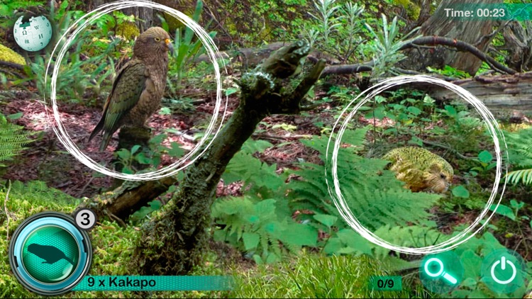 Hidden Animals: Seek and Find screenshot-4