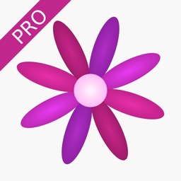 Calendrier des règles (Pro)