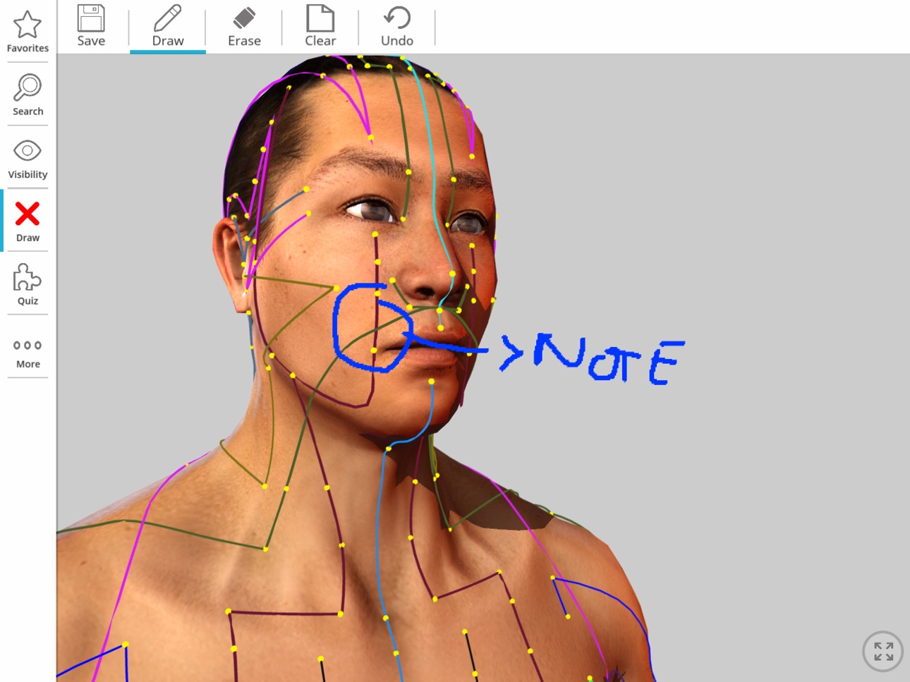 iPad screenshot