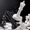 Learn Chess Online: Checkmate icon