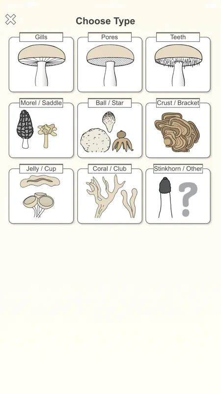 Shroomify - Mushroom ID screenshot 4 of 7