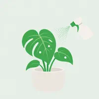MistMe - Plant Care
