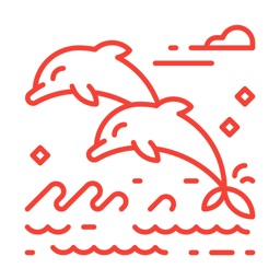 Dolphins Connect