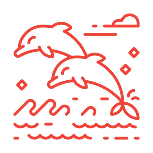 Dolphins Connect
