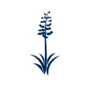 The Mirabel Club icon