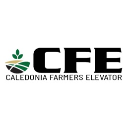 CFE - Grain