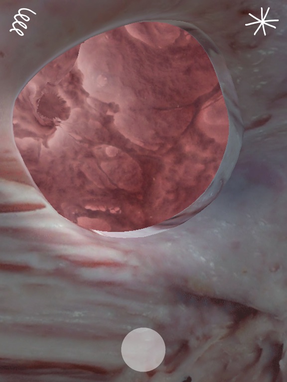 Screenshot #6 pour Amorph Real