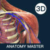 解剖大师-3d运动解剖学习库 - Xi'an Vesalius Digital Technology Co., Ltd.