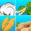 Smartirrigation CropFit icon