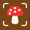 Mushroom Identifier - FungisID app icon - Reference app for iPhone