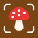 Mushroom Identifier - FungisID app icon - Reference app for iPhone