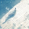 My Biography icon