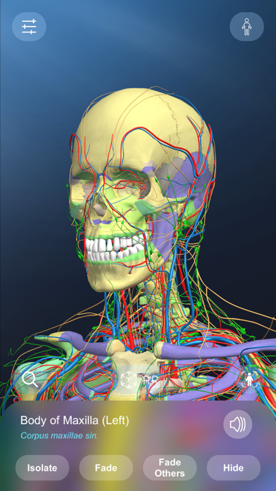 AR Anatomy Screenshot