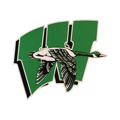 Wethersfield #230 Geese