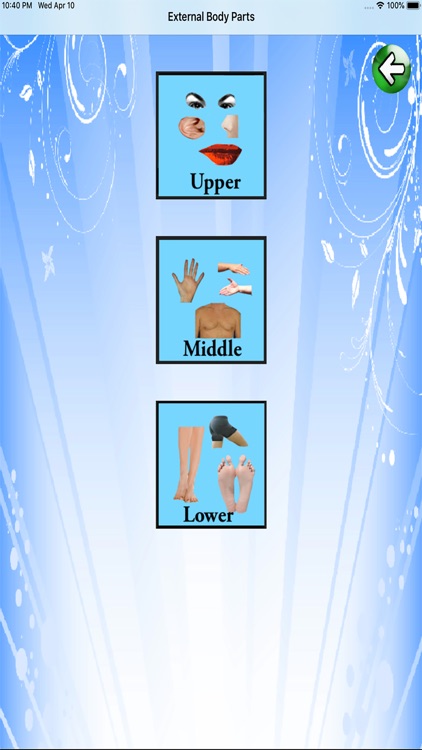 Body Parts - Middle and Asia